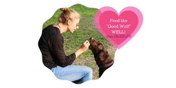 feed-the-goodwolf-well-yourbizrules